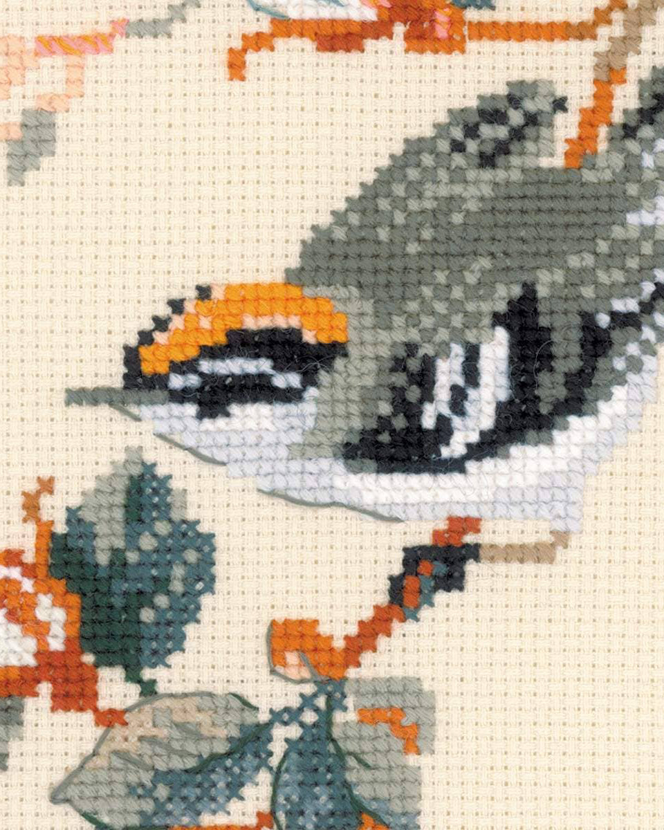 Majestætisk sang - RIOLIS Broderikit (40 x 40 cm)