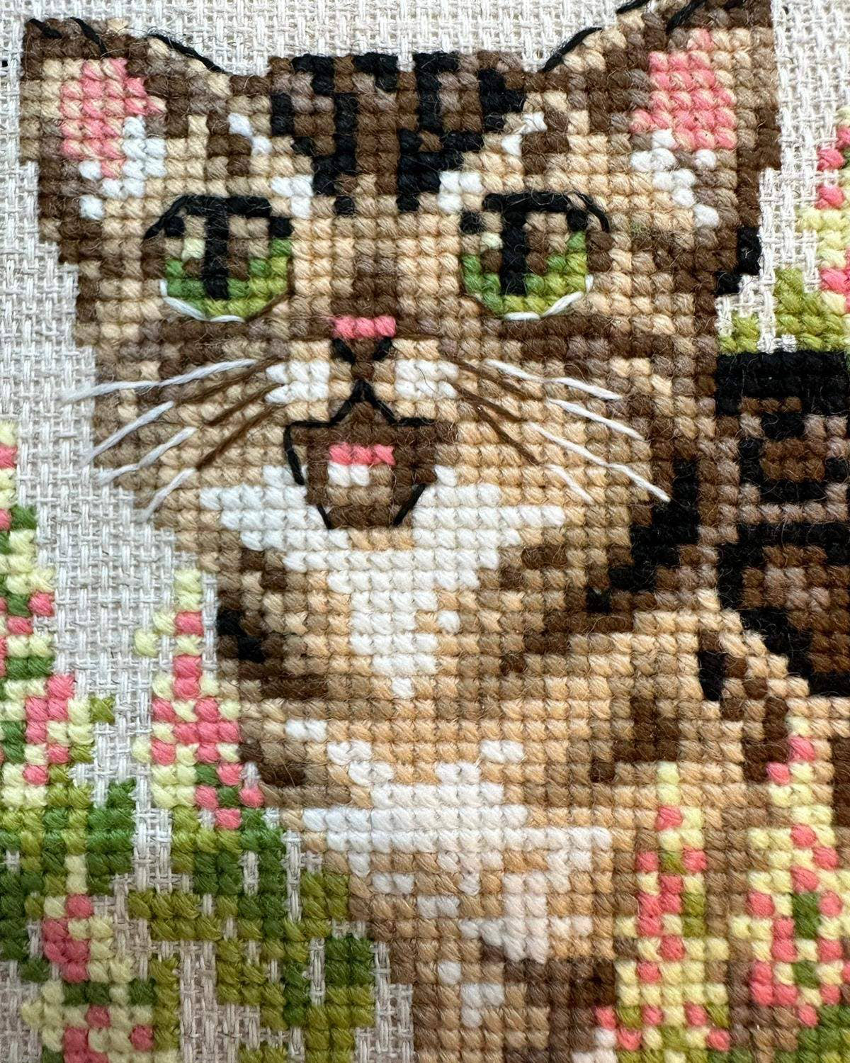 Bengalkilling - RIOLIS Broderikit (15 x 15 cm)