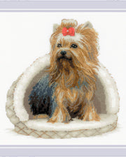 Yorkshire Terrier – RIOLIS Broderikit
