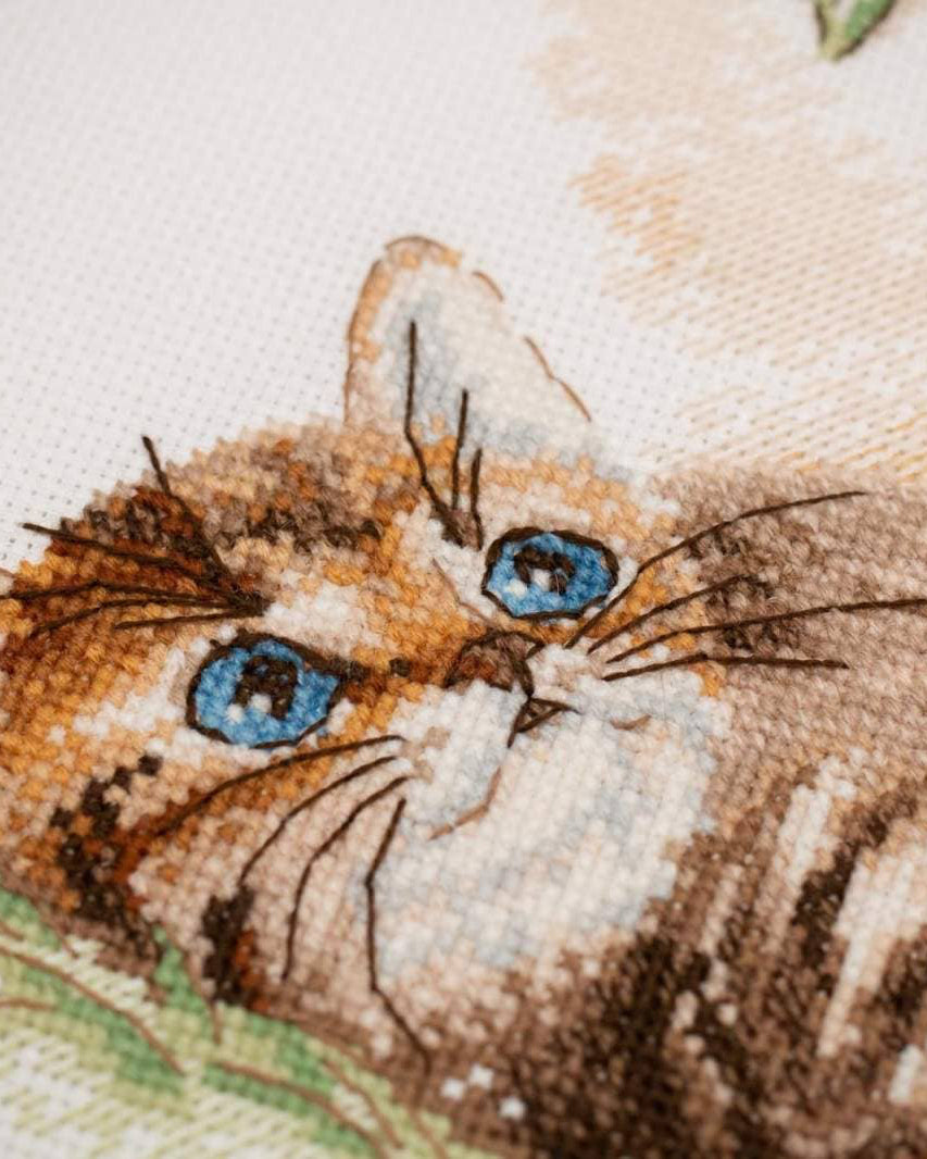 Humlebiens Flugt – RIOLIS Broderikit (21 x 30 cm)