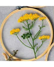 Blomster - Broderikit på Transparent Stof med Ramme (Ø18 cm)