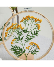 Blomstermotiv på Transparent Stof - Broderikit (Ø18 cm)