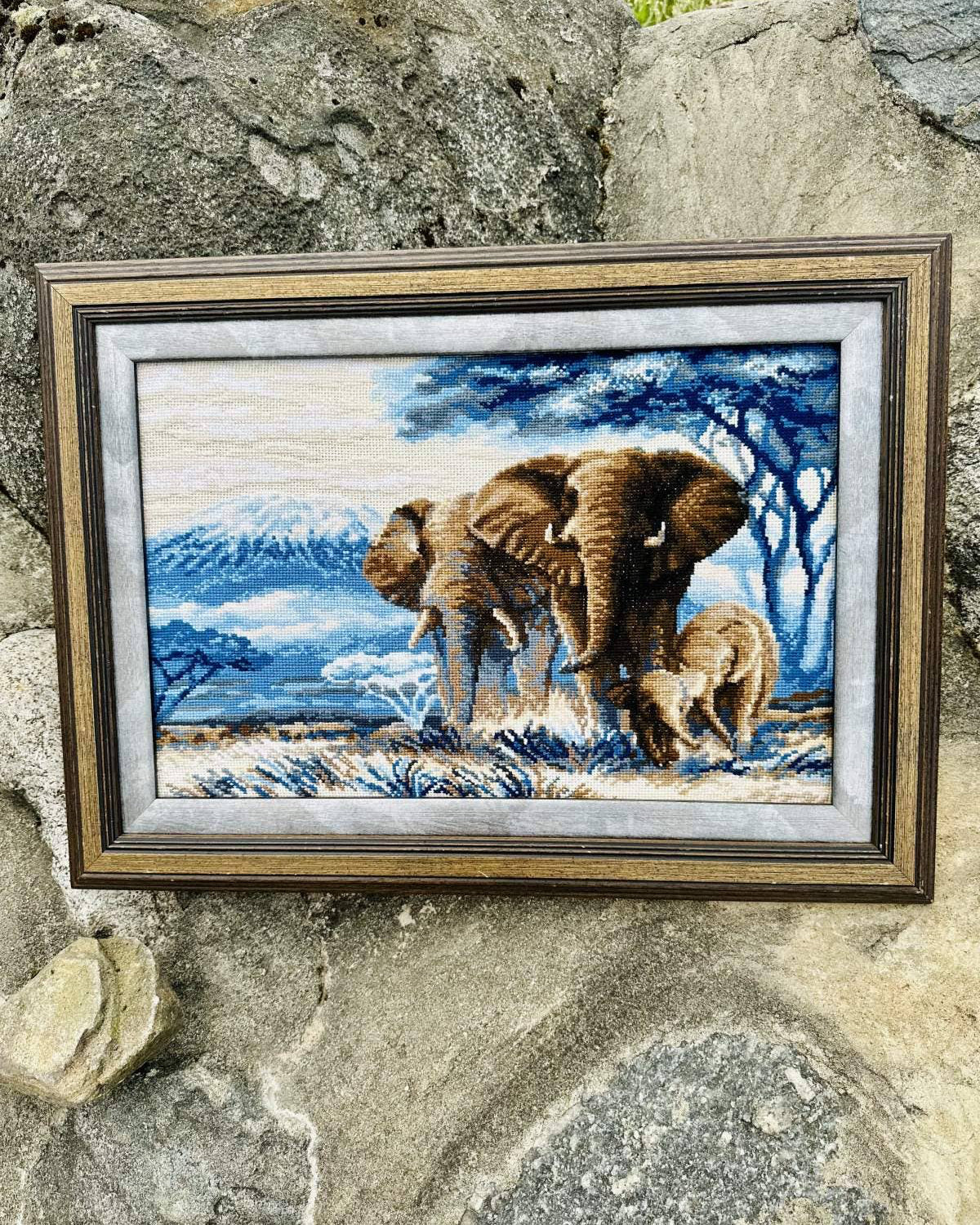 Elefanter i Savannen – RIOLIS Broderikit (40 x 30 cm)