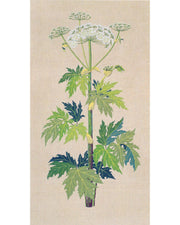 Haandarbejdets Fremme | Bjørneklo vægstykke - Broderikit (67×126 cm)