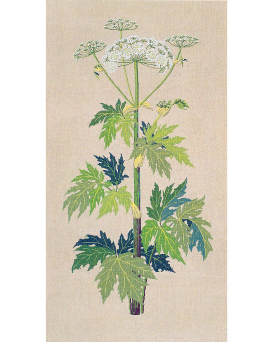 Haandarbejdets Fremme | Bjørneklo vægstykke - Broderikit (67×126 cm)