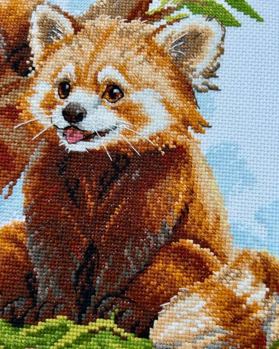 Rødpandaunger - RIOLIS Broderikit (40 x 30 cm)