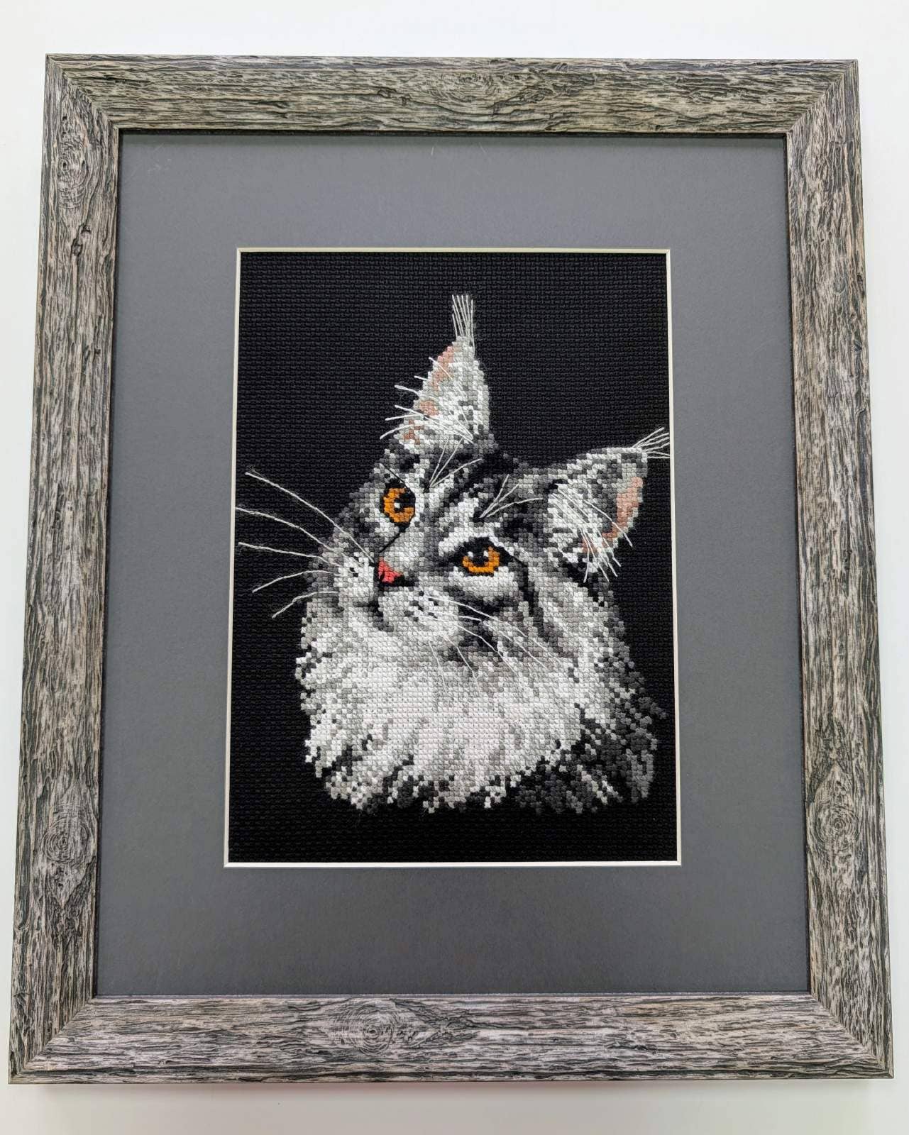 Maine Coon – RIOLIS Broderikit (21x30 cm)