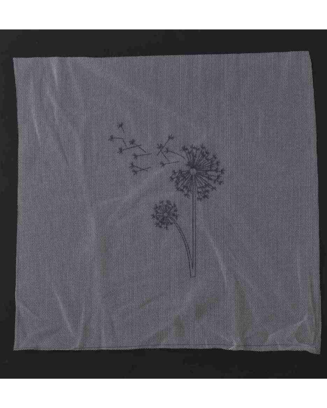 Mælkebøtte – Broderikit på Transparent Stof med Ramme (Ø18 cm)