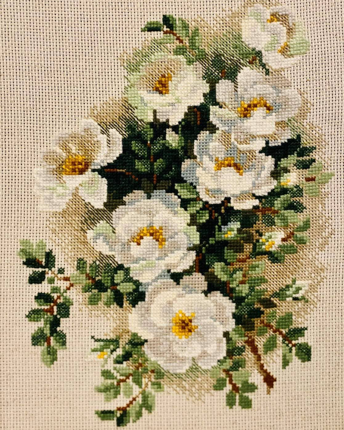 Hvid Hyben – RIOLIS Broderikit (21 x 30 cm)