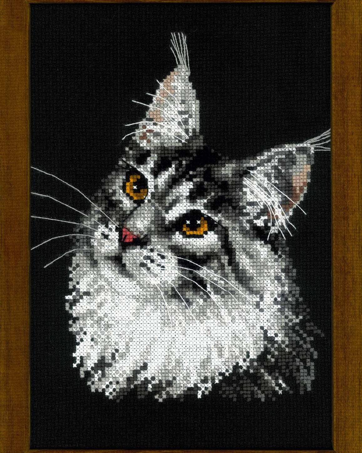 Maine Coon – RIOLIS Broderikit (21x30 cm)