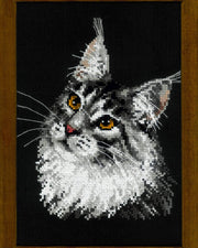 Maine Coon – RIOLIS Broderikit (21x30 cm)