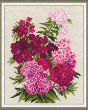 Sweet William – RIOLIS Broderikit (24 x 30 cm)