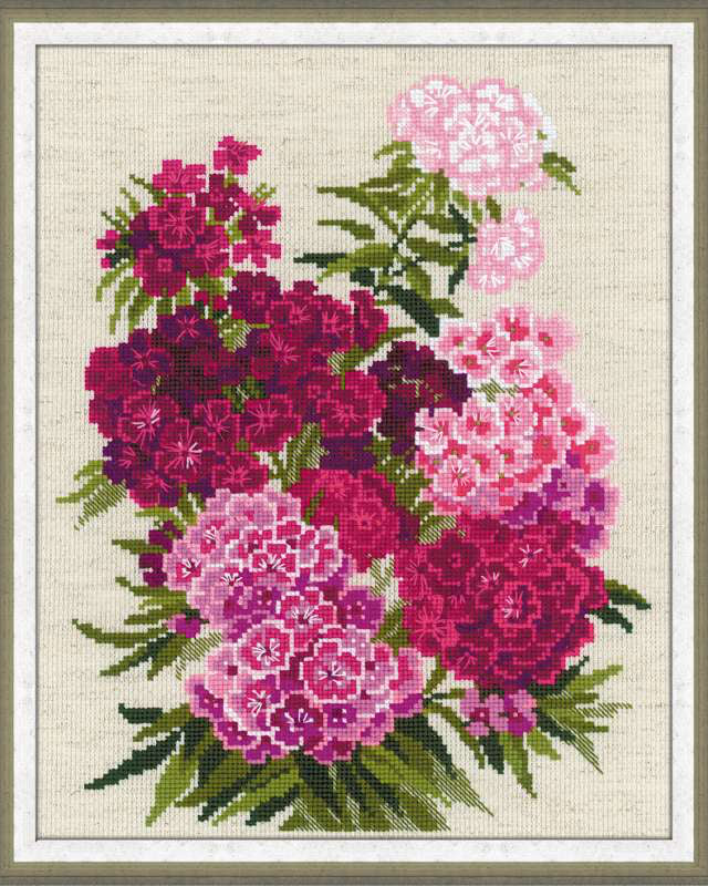 Sweet William – RIOLIS Broderikit (24 x 30 cm)