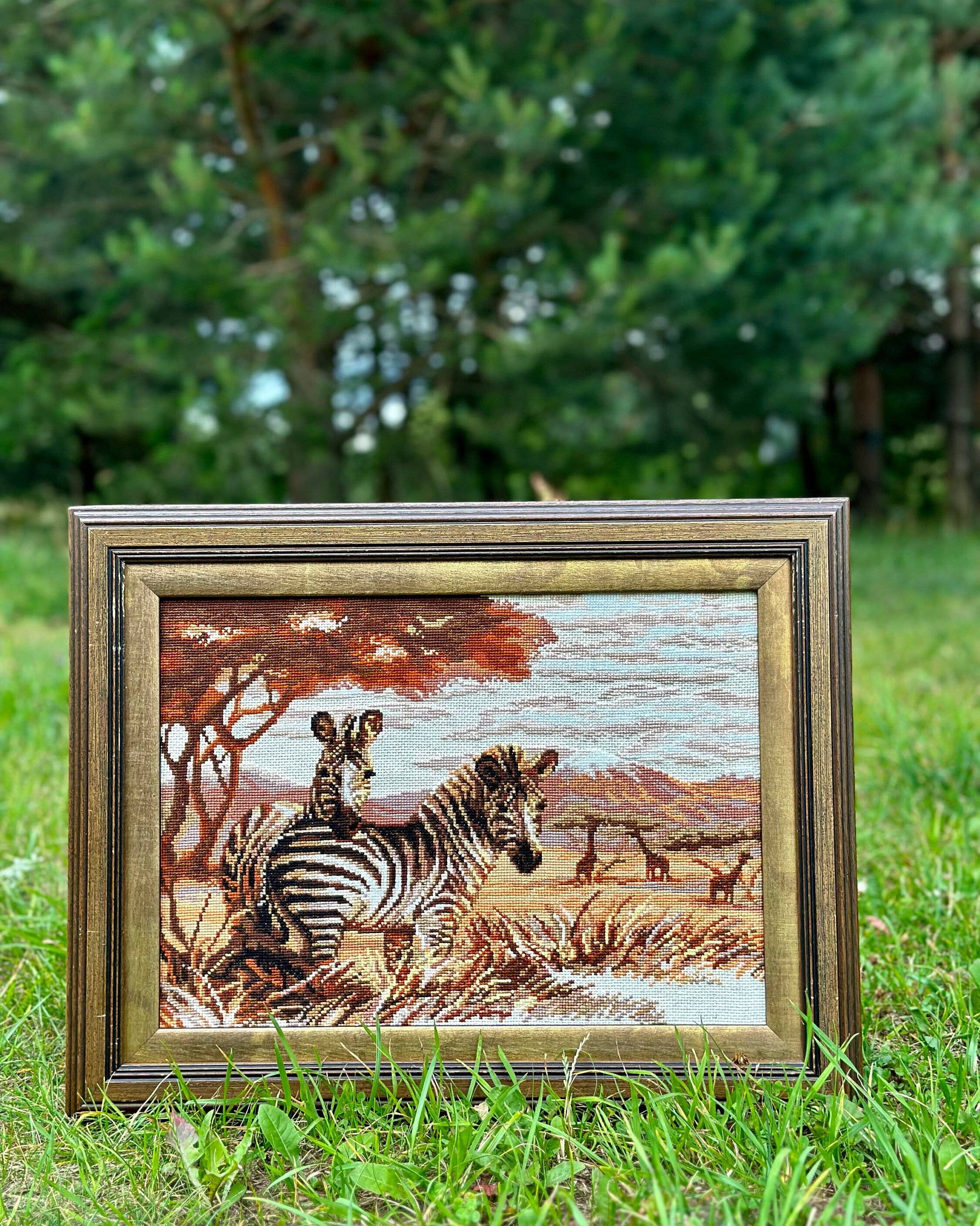 Zebraer i Savannen – RIOLIS Broderikit (40 x 30 cm)