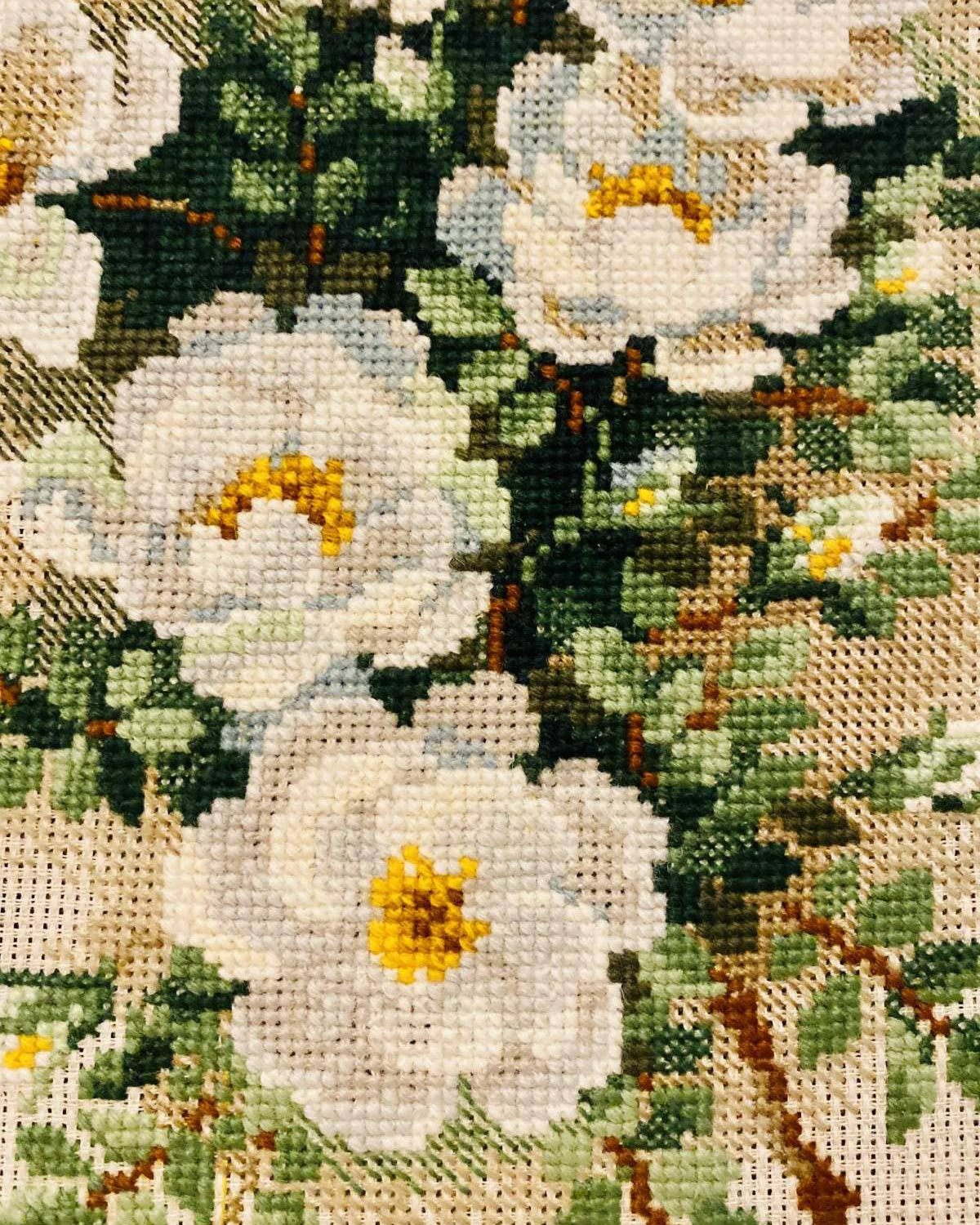 Hvid Hyben – RIOLIS Broderikit (21 x 30 cm)