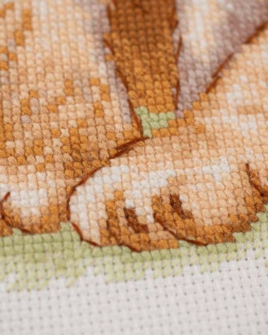 Savannah Børn – RIOLIS Broderikit (40 x 30 cm)