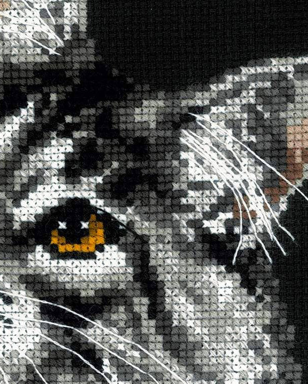 Maine Coon – RIOLIS Broderikit (21x30 cm)