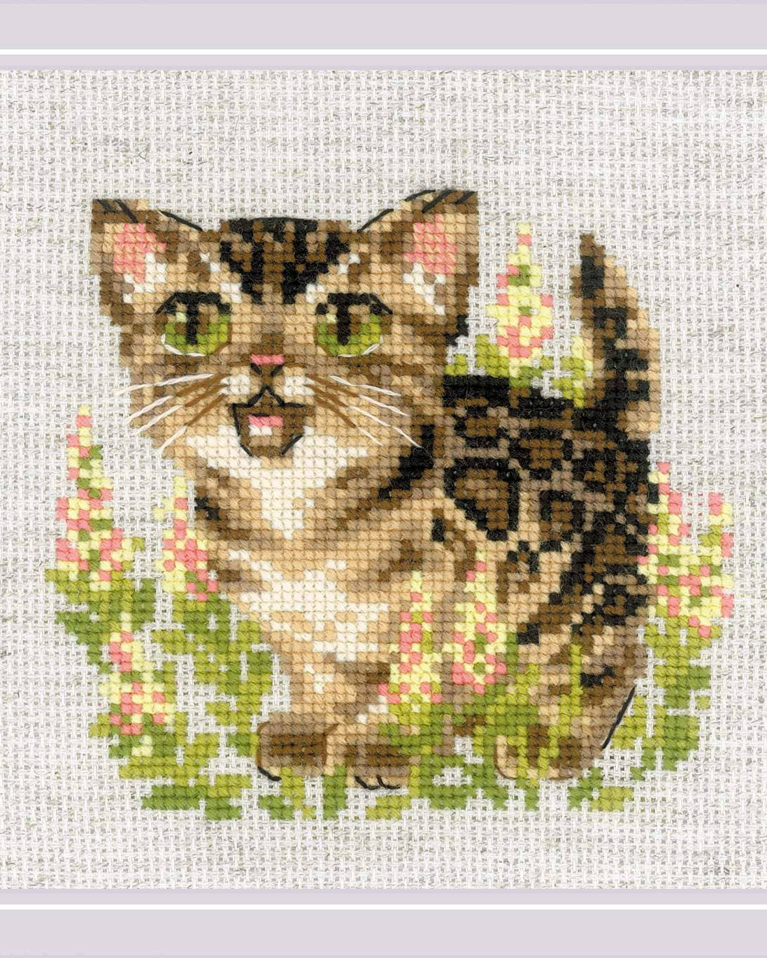 Bengalkilling - RIOLIS Broderikit (15 x 15 cm)