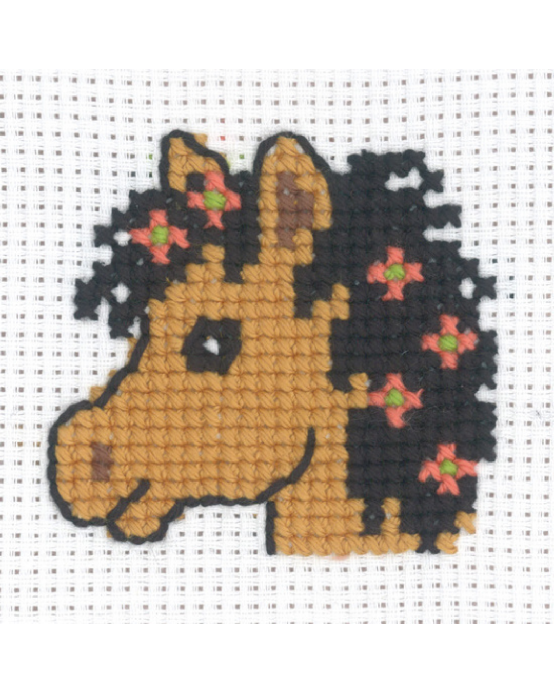 Hestehoved – Begynderkit (8x8 cm)