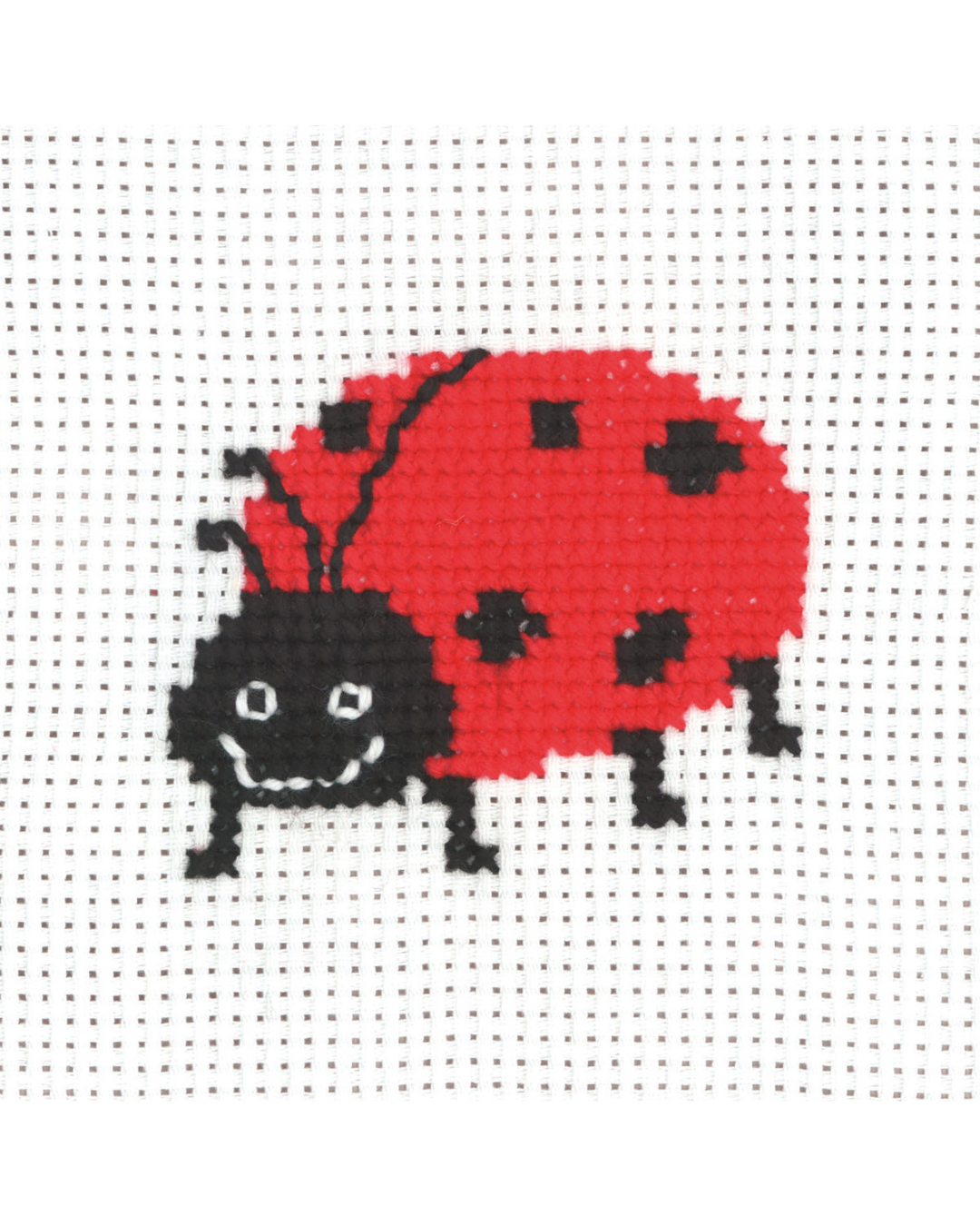 Mariehøne – Begynderkit (8x8 cm)