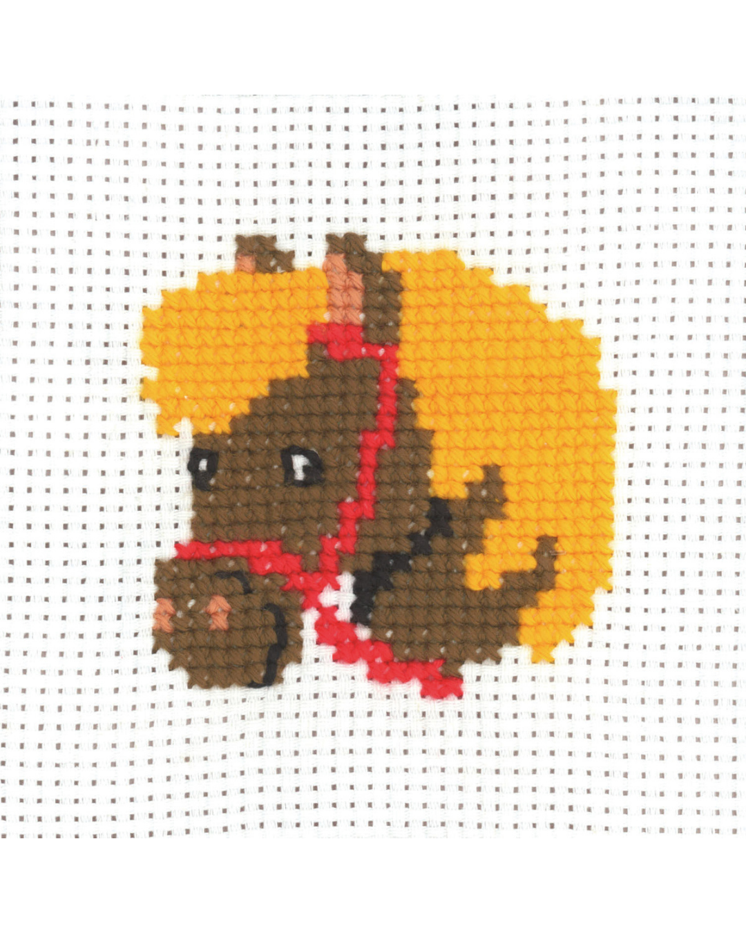 Hestehoved – Begynderkit (8x8 cm)