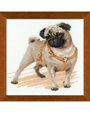 Mops Hund – RIOLIS Broderikit (25x25 cm)