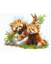 Rødpandaunger - RIOLIS Broderikit (40 x 30 cm)