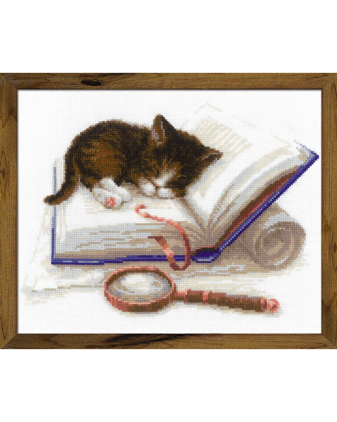 Killing på bogen – RIOLIS Broderikit (30 x 24 cm)