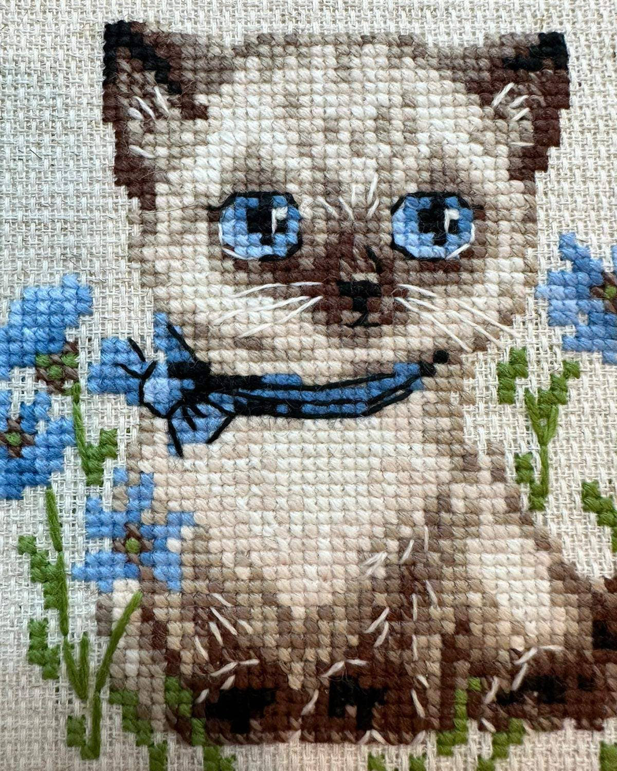 Siamesisk killing - RIOLIS Broderikit (15 x 15 cm)
