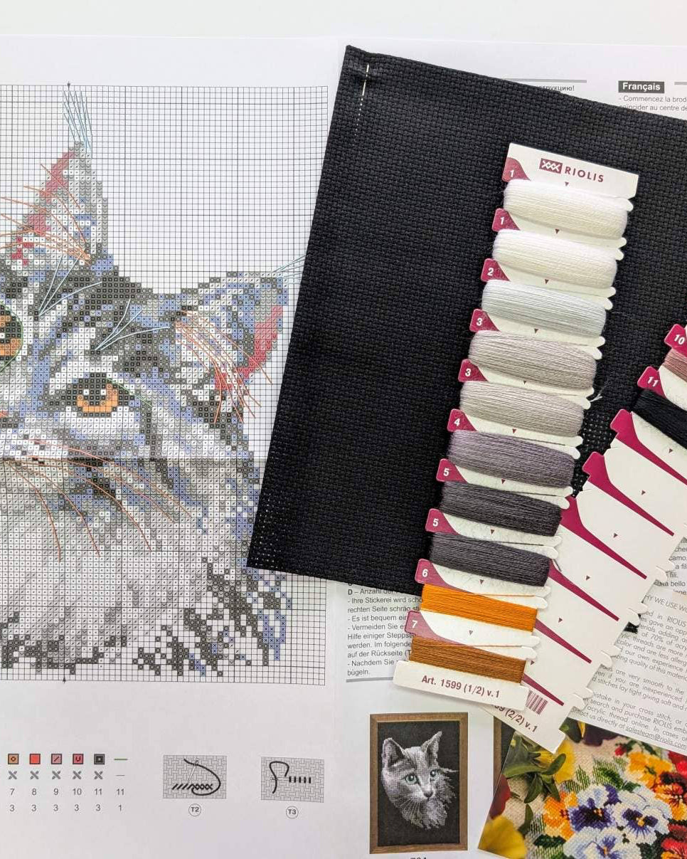 Maine Coon – RIOLIS Broderikit (21x30 cm)