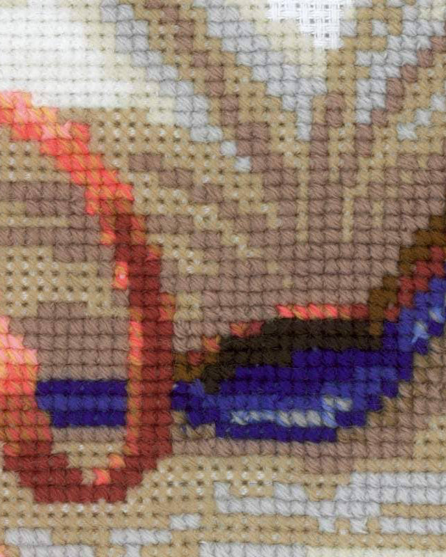 Killing på bogen – RIOLIS Broderikit (30 x 24 cm)