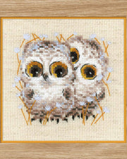 Små ugler – RIOLIS Broderikit (13 x 13 cm)
