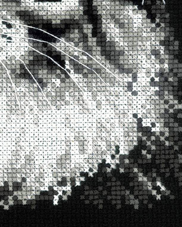 Maine Coon – RIOLIS Broderikit (21x30 cm)