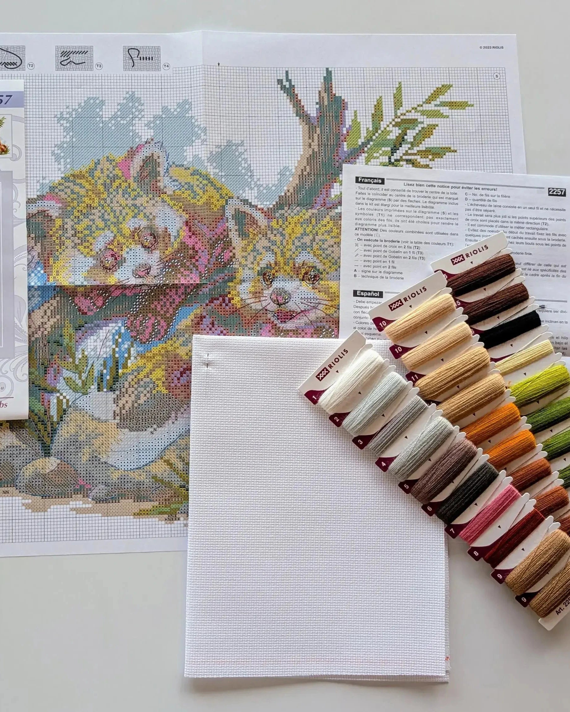 Rødpandaunger - RIOLIS Broderikit (40 x 30 cm)