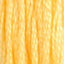 Swatch 19