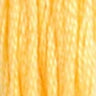 Swatch 19