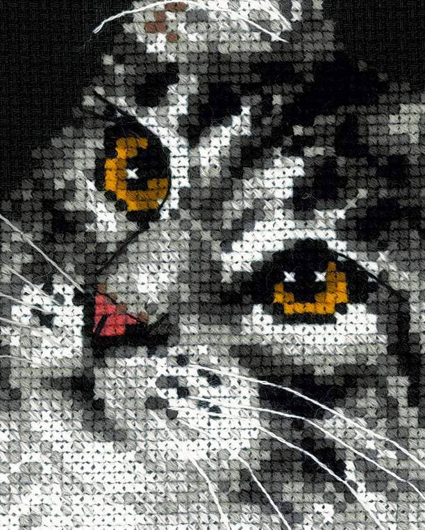 Maine Coon – RIOLIS Broderikit (21x30 cm)