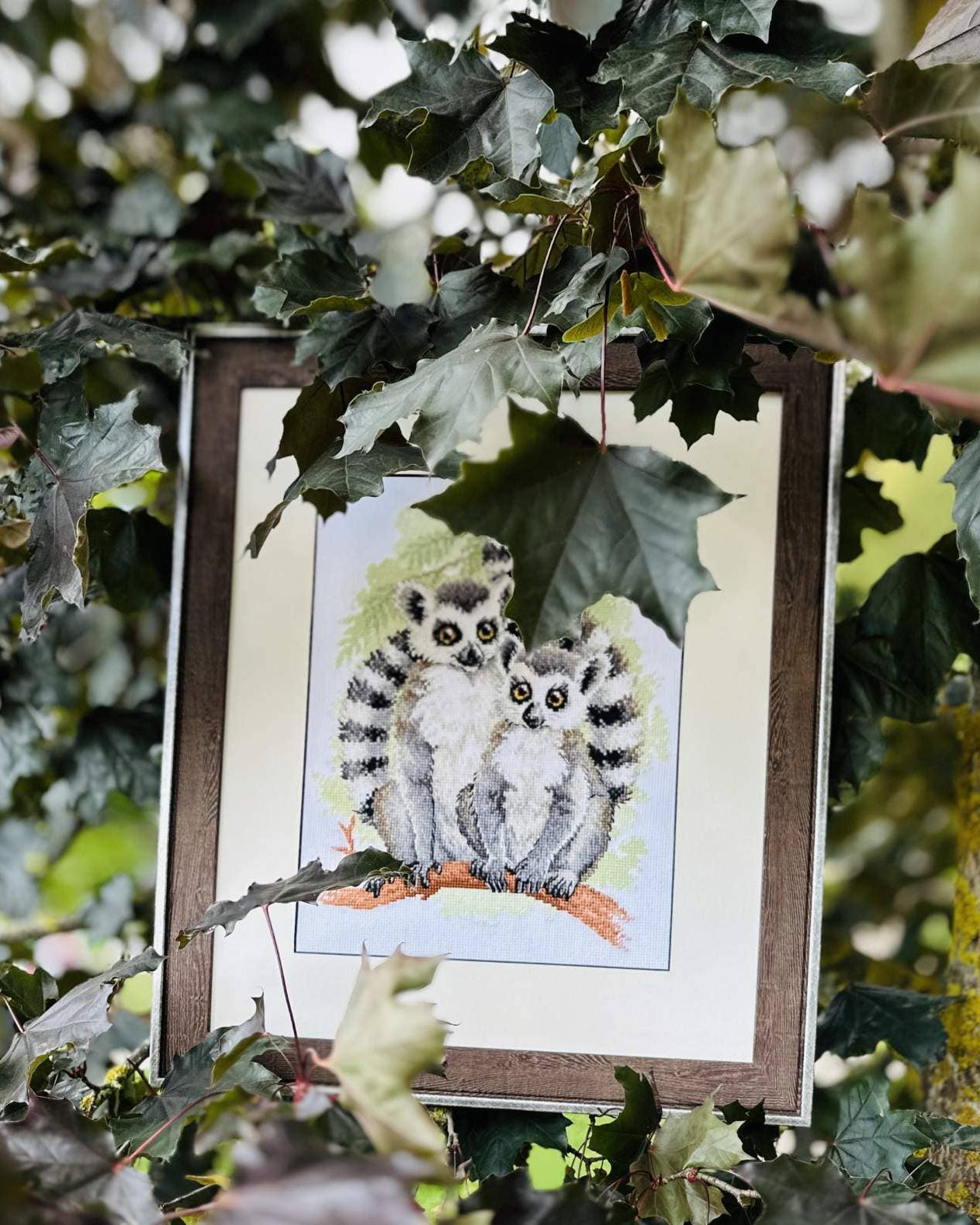 Lemurer – RIOLIS Broderikit (24 x 30 cm)