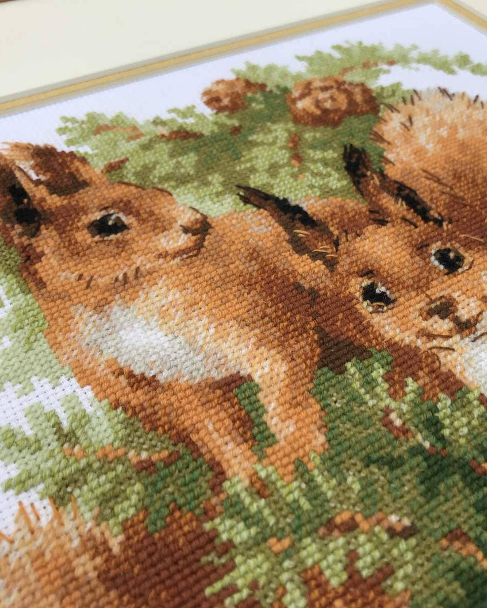Egern – RIOLIS Broderikit (25 x 25 cm)