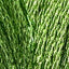 Swatch E703