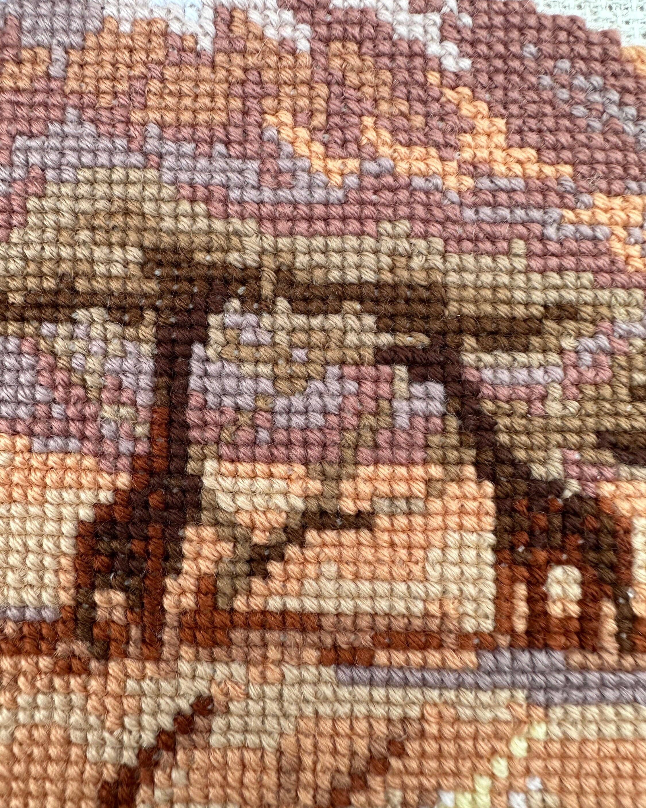 Zebraer i Savannen – RIOLIS Broderikit (40 x 30 cm)