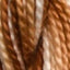 Swatch 105