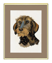 Ruhåret Gravhund – Broderikit (28x35 cm)