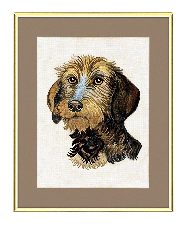 Ruhåret Gravhund – Broderikit (28x35 cm)