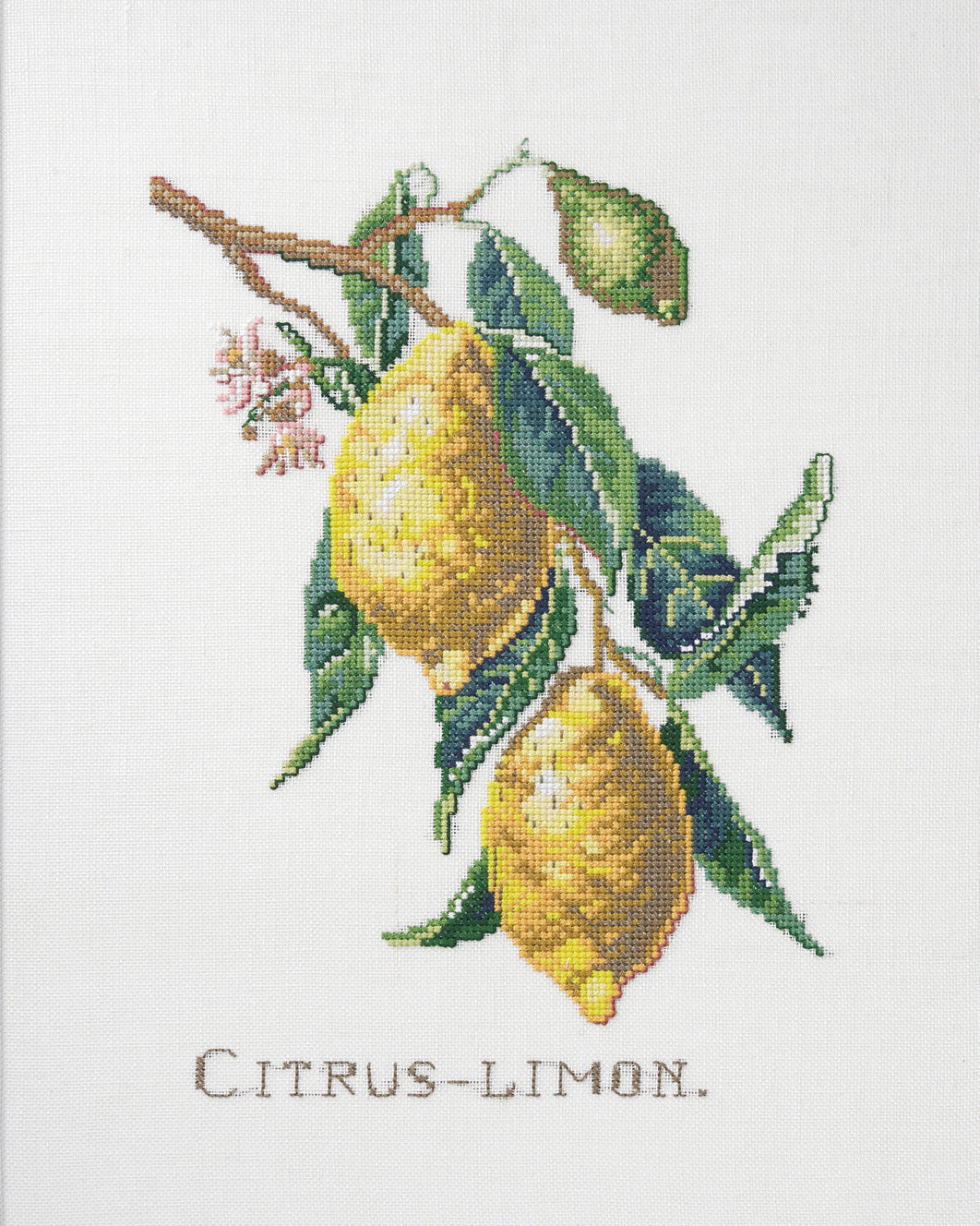Citrus Limon – Broderikit (29x39cm)