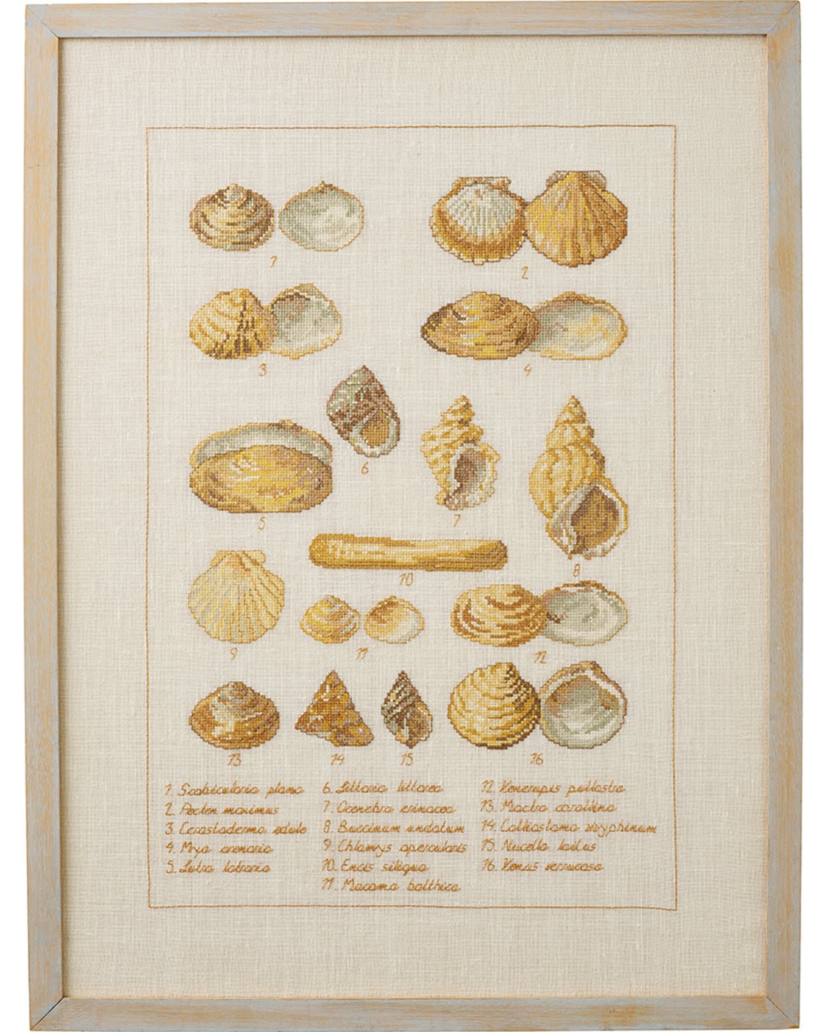 Muslingeskaller – Broderikit (41 x 56 cm)