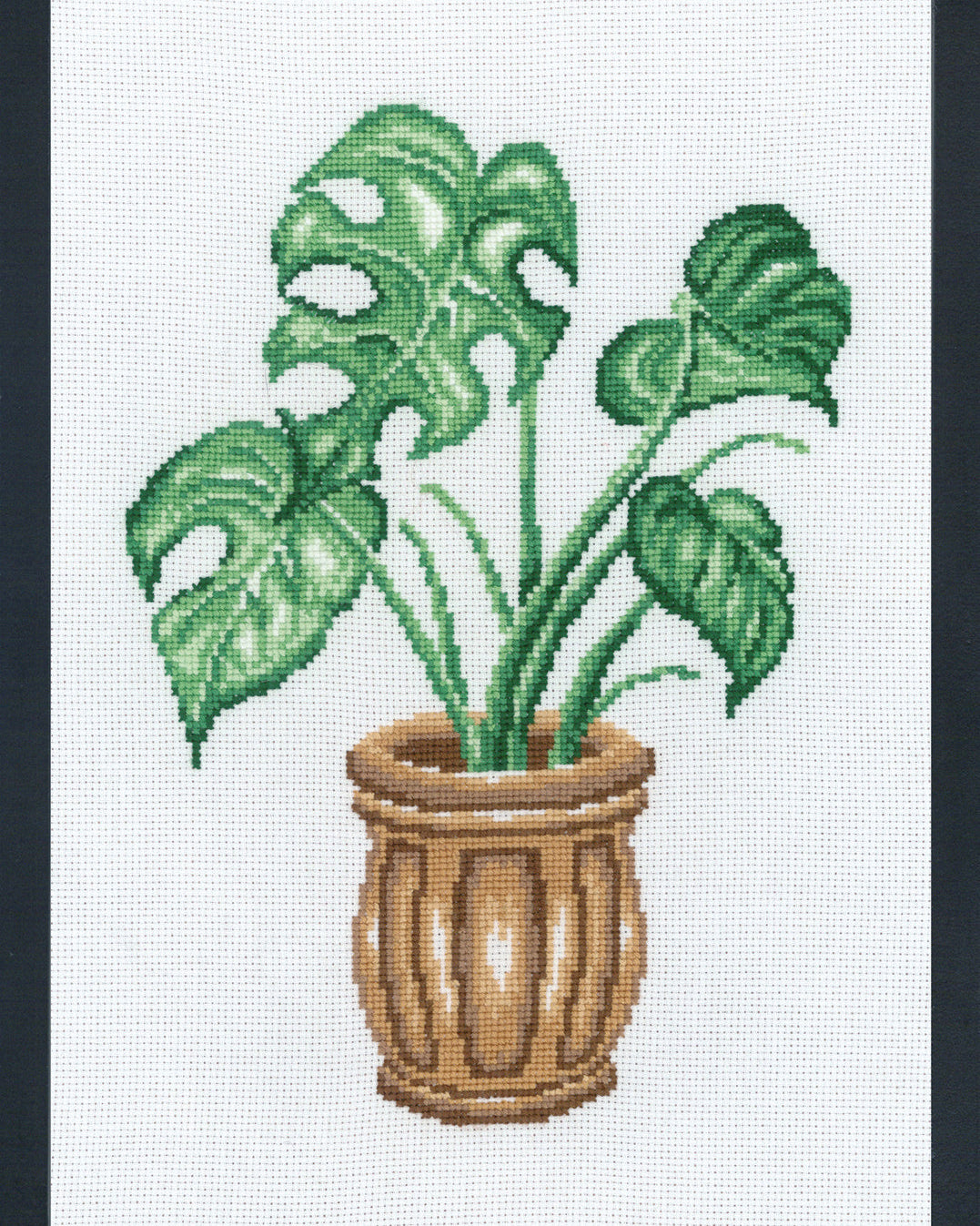 Monstera – Broderikit (20 x 29 cm)
