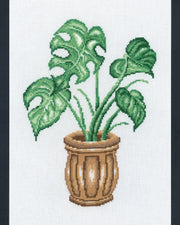 Monstera – Broderikit (20 x 29 cm)