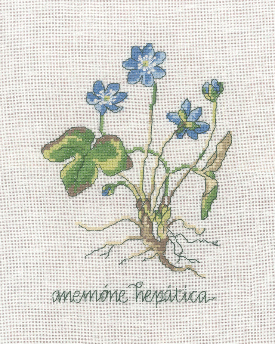 Blå Anemone – Broderikit (20x30 cm)